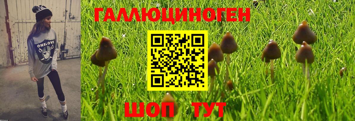 Великий Новгород  Псилоцибиновые грибы мухоморы  Вход с VPN 